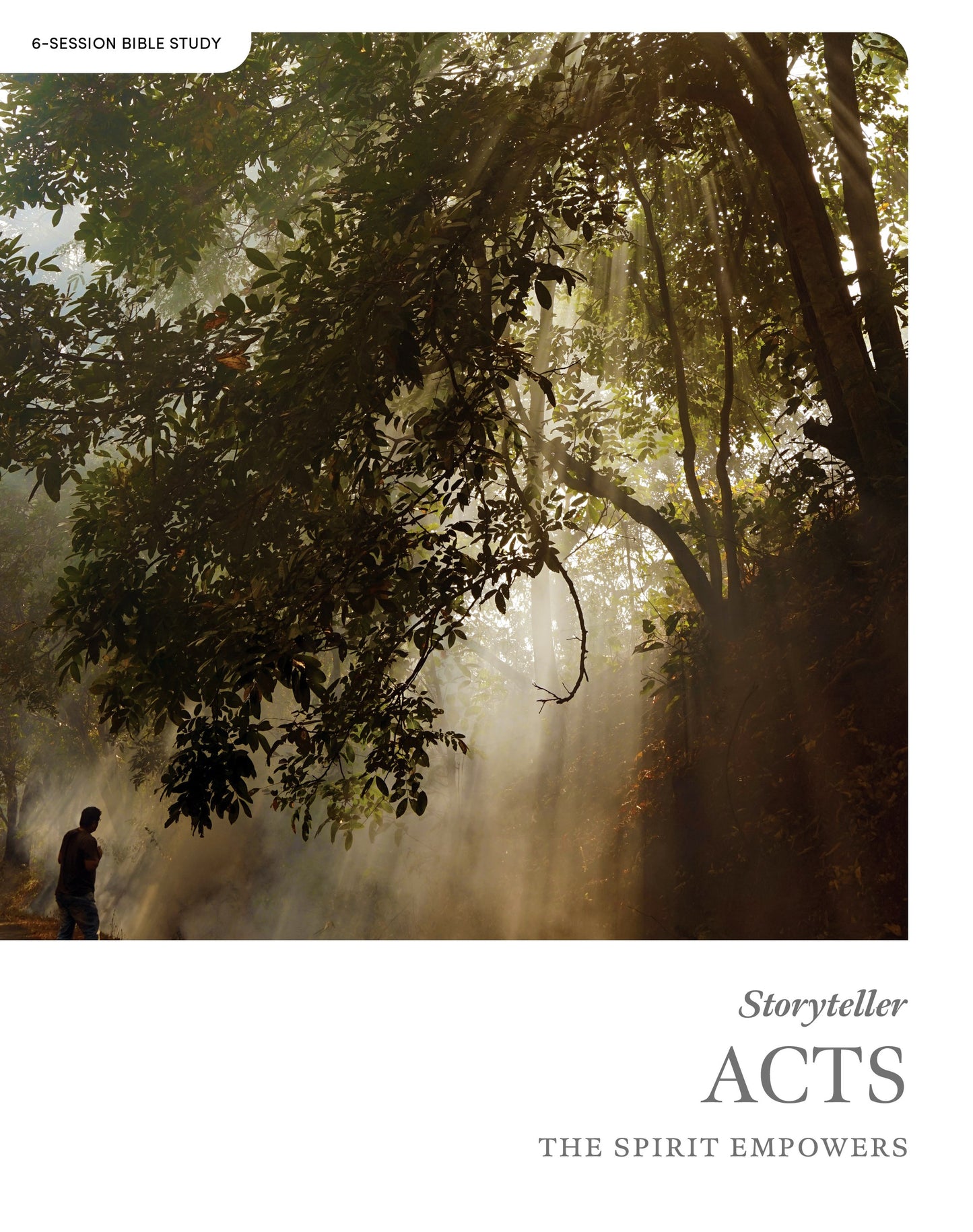 Storyteller: Acts Bible Study Book