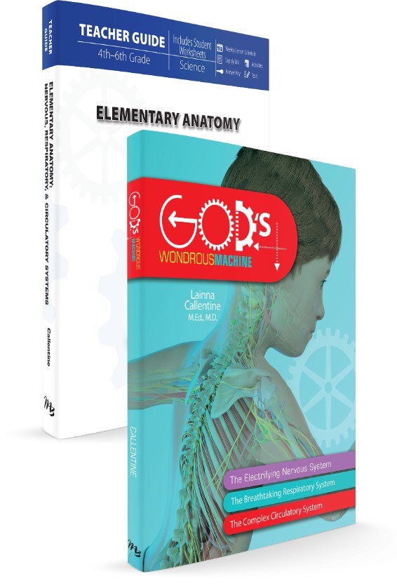 Elementary Anatomy Set