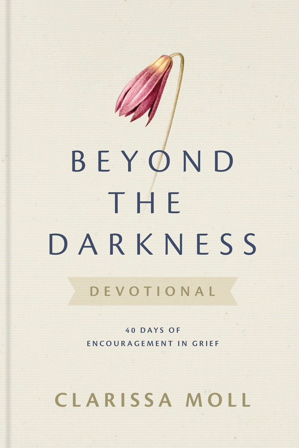 Beyond The Darkness Devotional