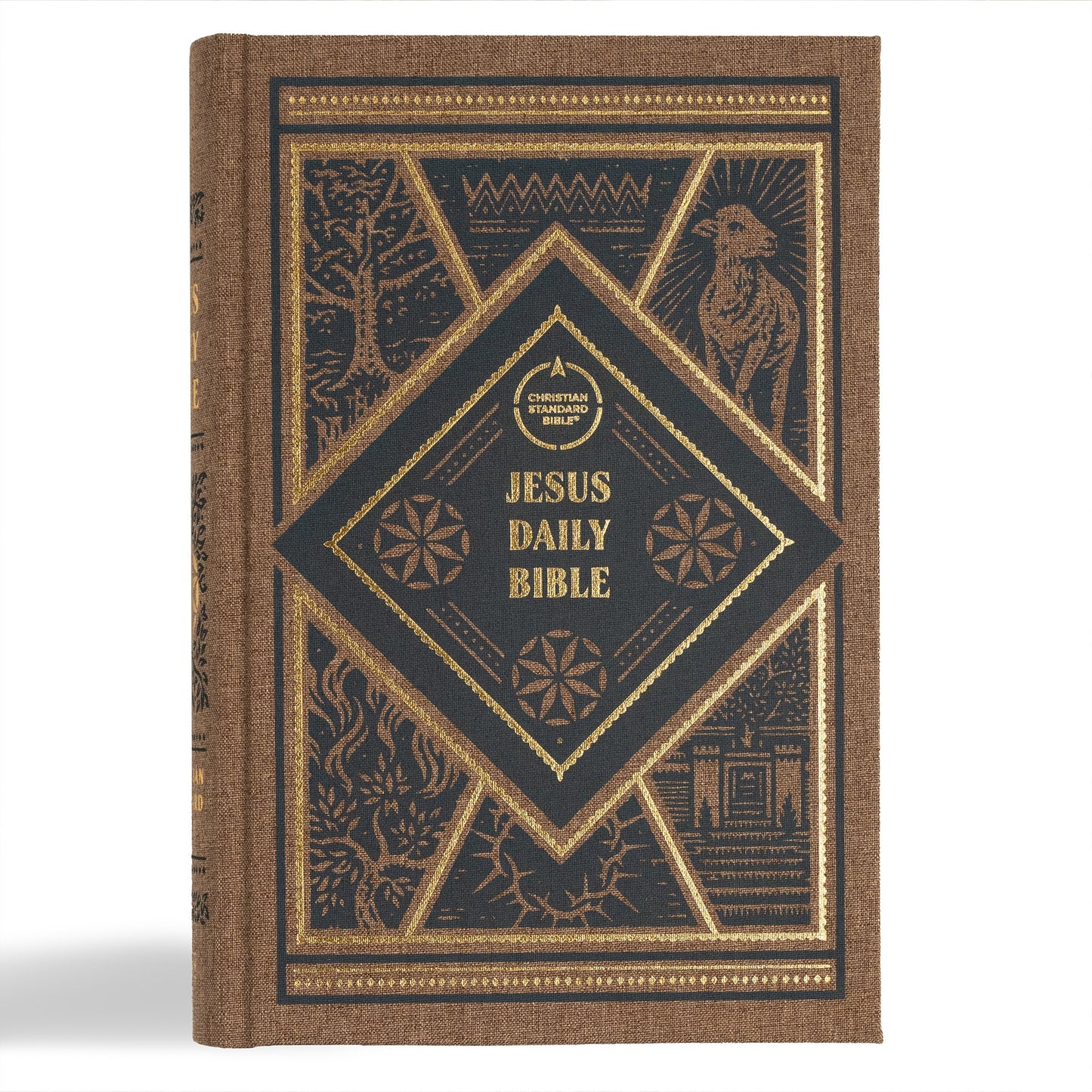 CSB Jesus Daily Bible-Brown Cloth Over Board