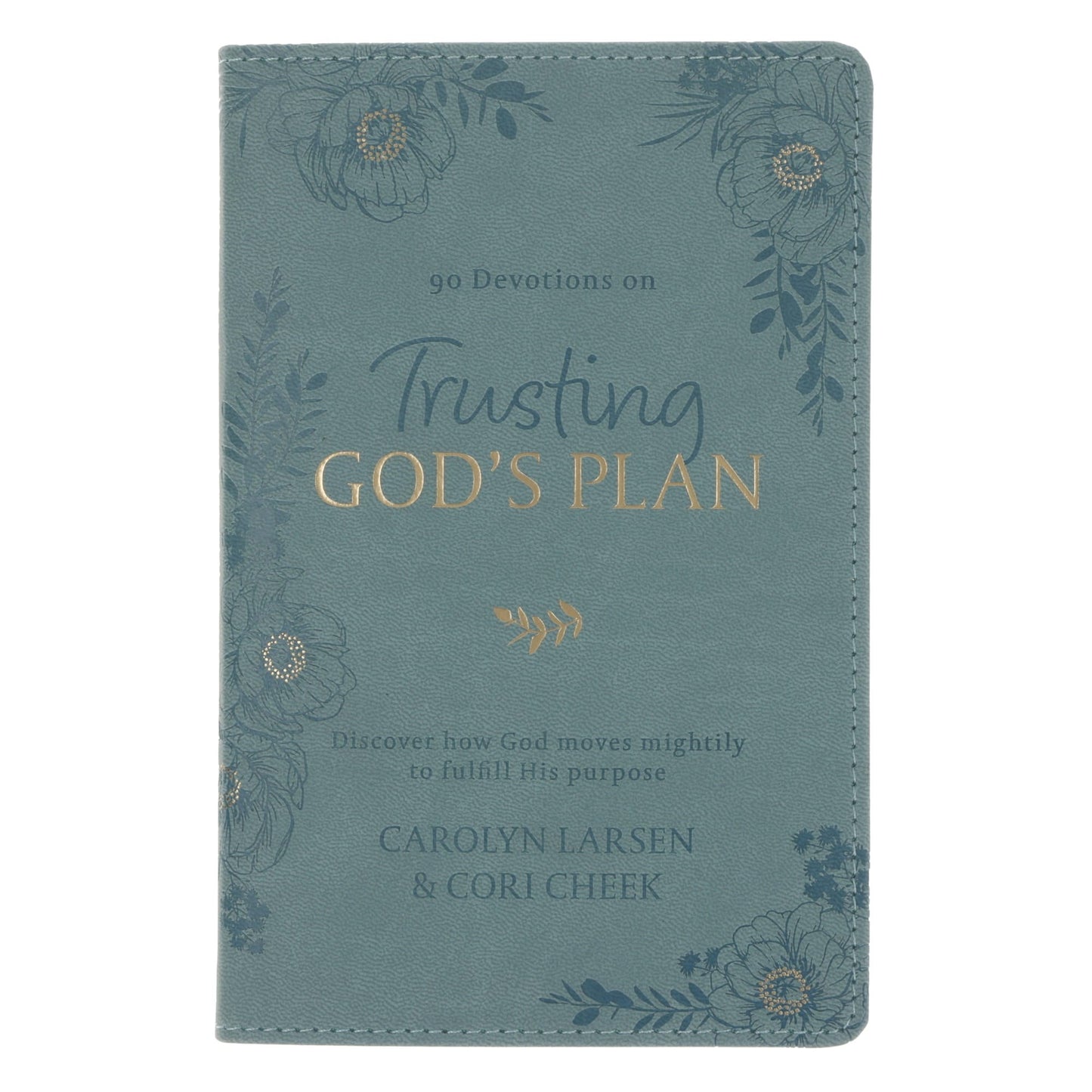 Devotional-Trusting God's Plan