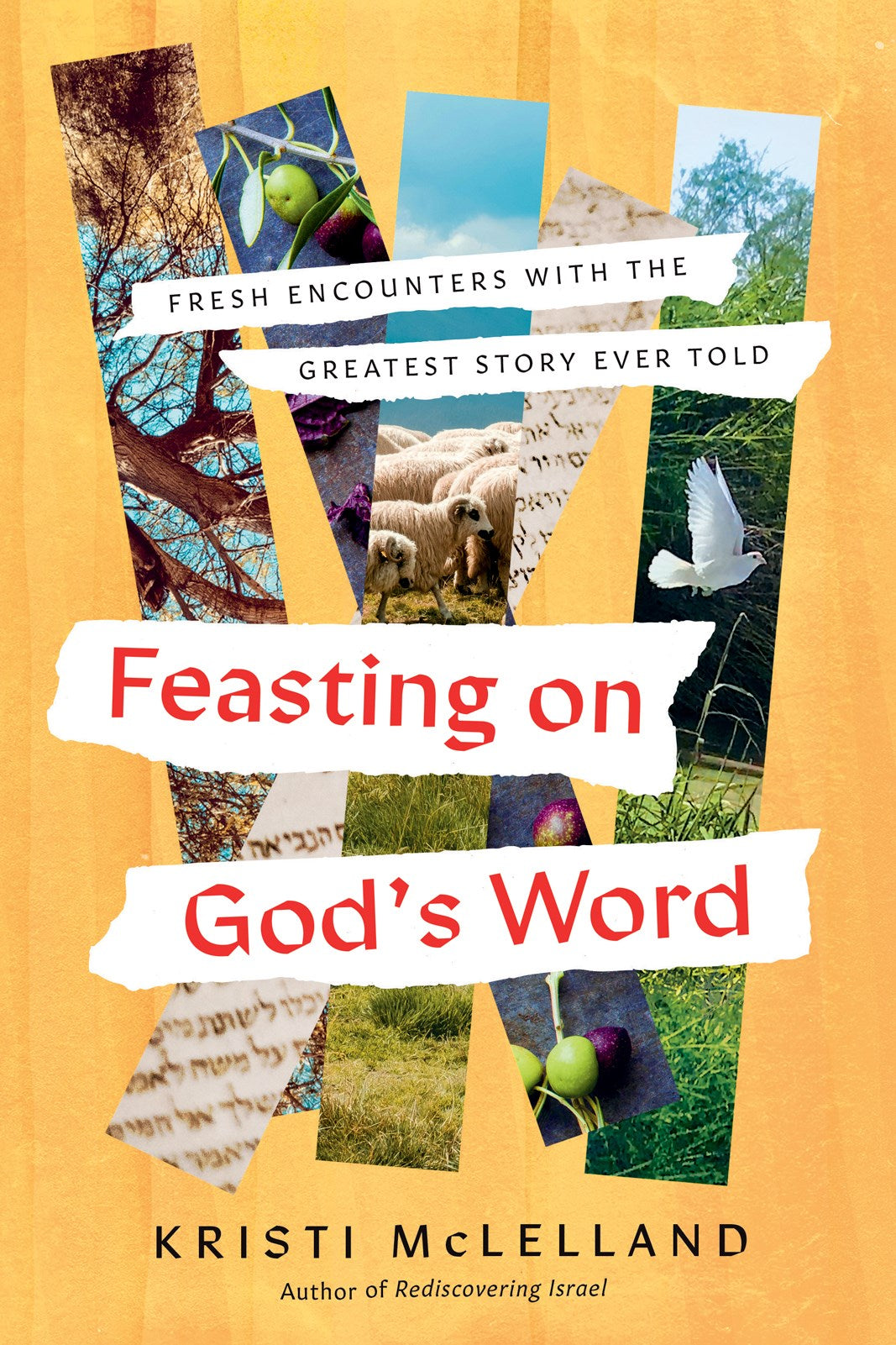 Feasting On God's Word