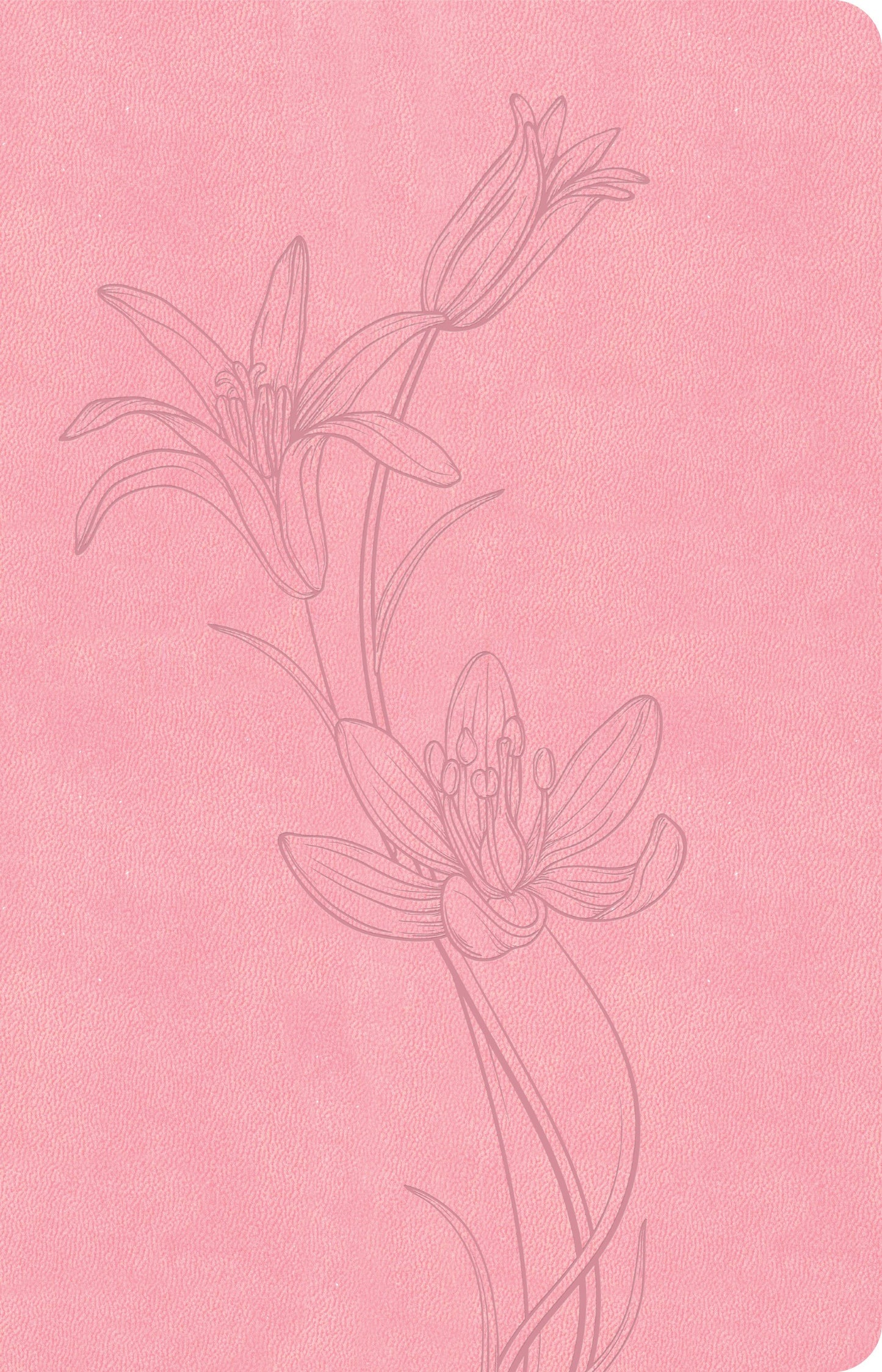 CSB Thinline Bible (Value Edition)-Soft Pink LeatherTouch