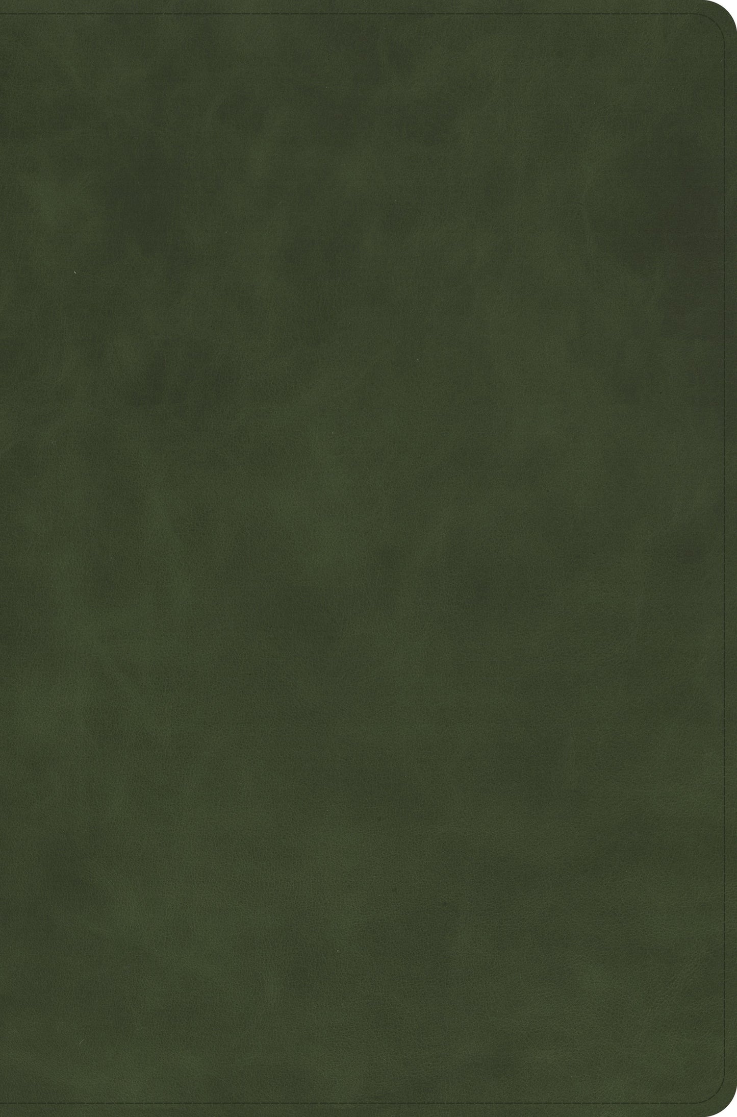 NASB 2020 Large Print Thinline Bible (Holman Handcrafted Edition)-Marbled Olive Premium Calfskin