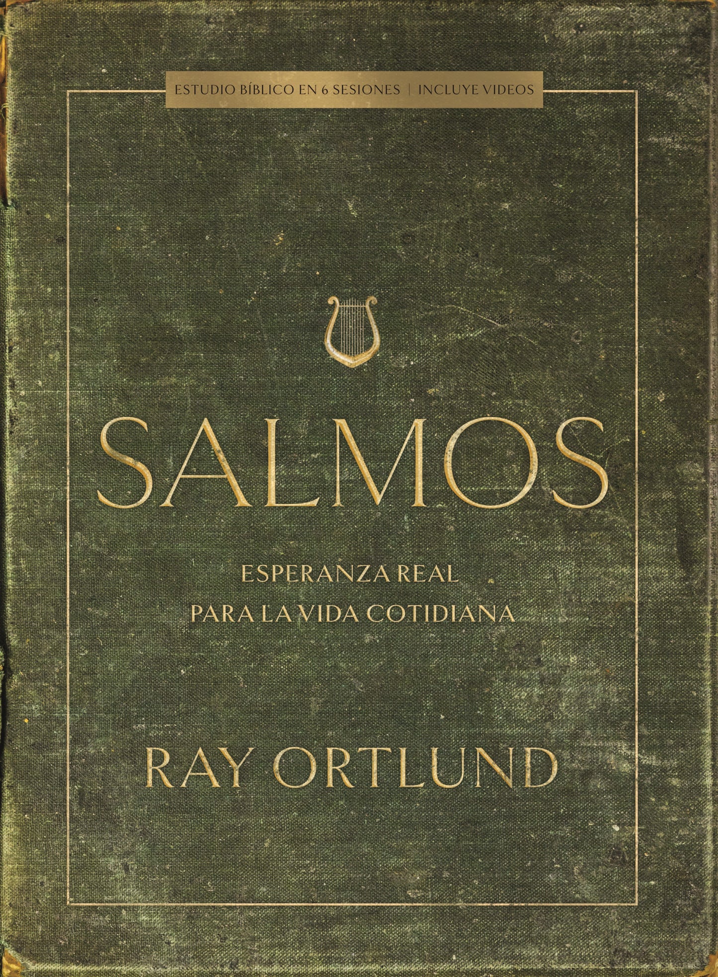 Salmos Estudio Biblico con Videos (Psalms Bible Study Book With Video Access)