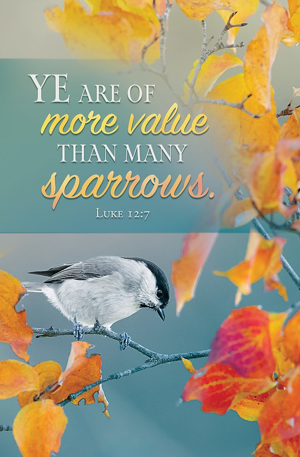 Bulletin-Ye Are Of More Value Than Many Sparrows (Luke 12:7) (Pack Of 100)