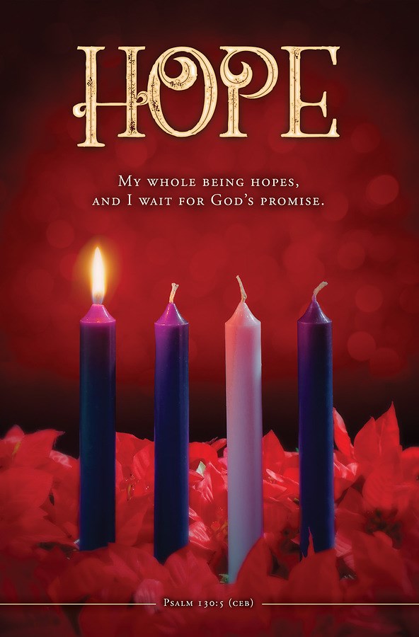 Bulletin-Advent Week 1: Hope/My Whole Being Hopes (Psalm 130:5 CEB) (Pack of 100)