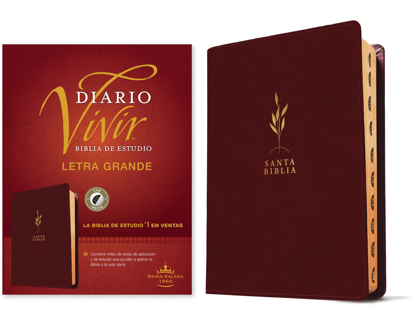 RVR 1960 Biblia de estudio del Diario Vivir/Letra Grande (RVR60 Life Application Study/Large Print)-Burgundy LLike Index