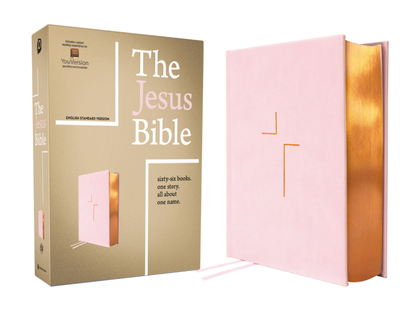 ESV The Jesus Bible-Pink Leathersoft Over Board