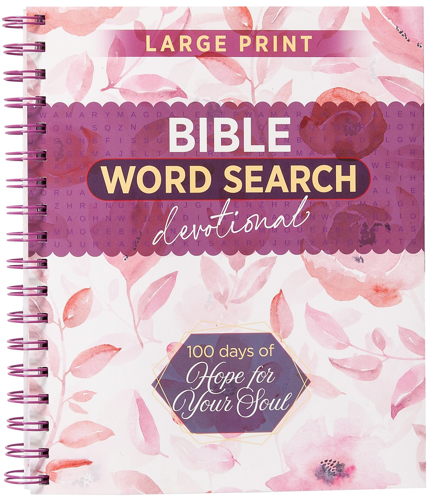 100 Days Of Hope For Your Soul Large Print (Bible Word Search Devotional)