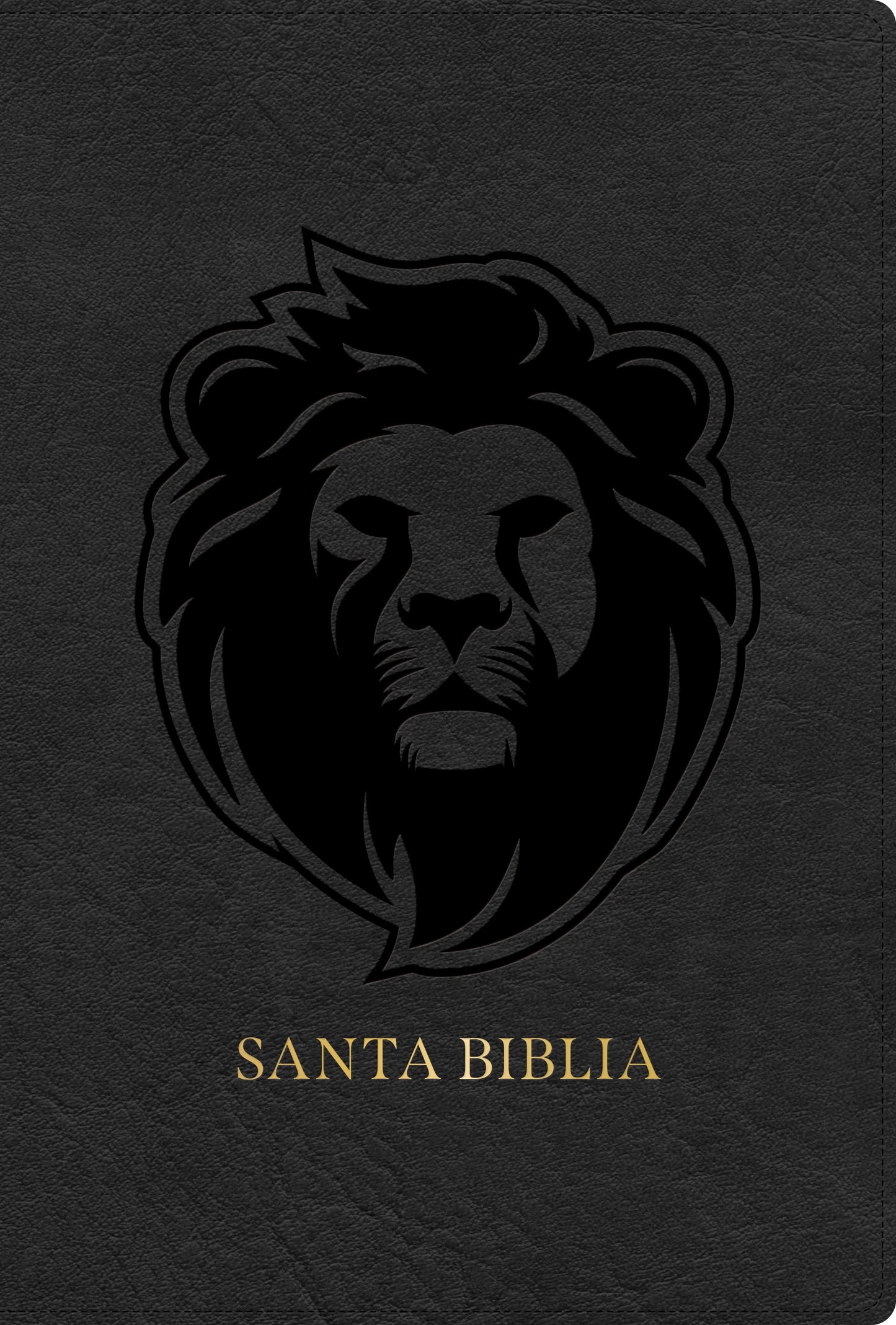 RVR 1960 Biblia Letra Grande Tamano Manual Edicion Especial (Hand Size Giant Print)-Ash LeatherTouch