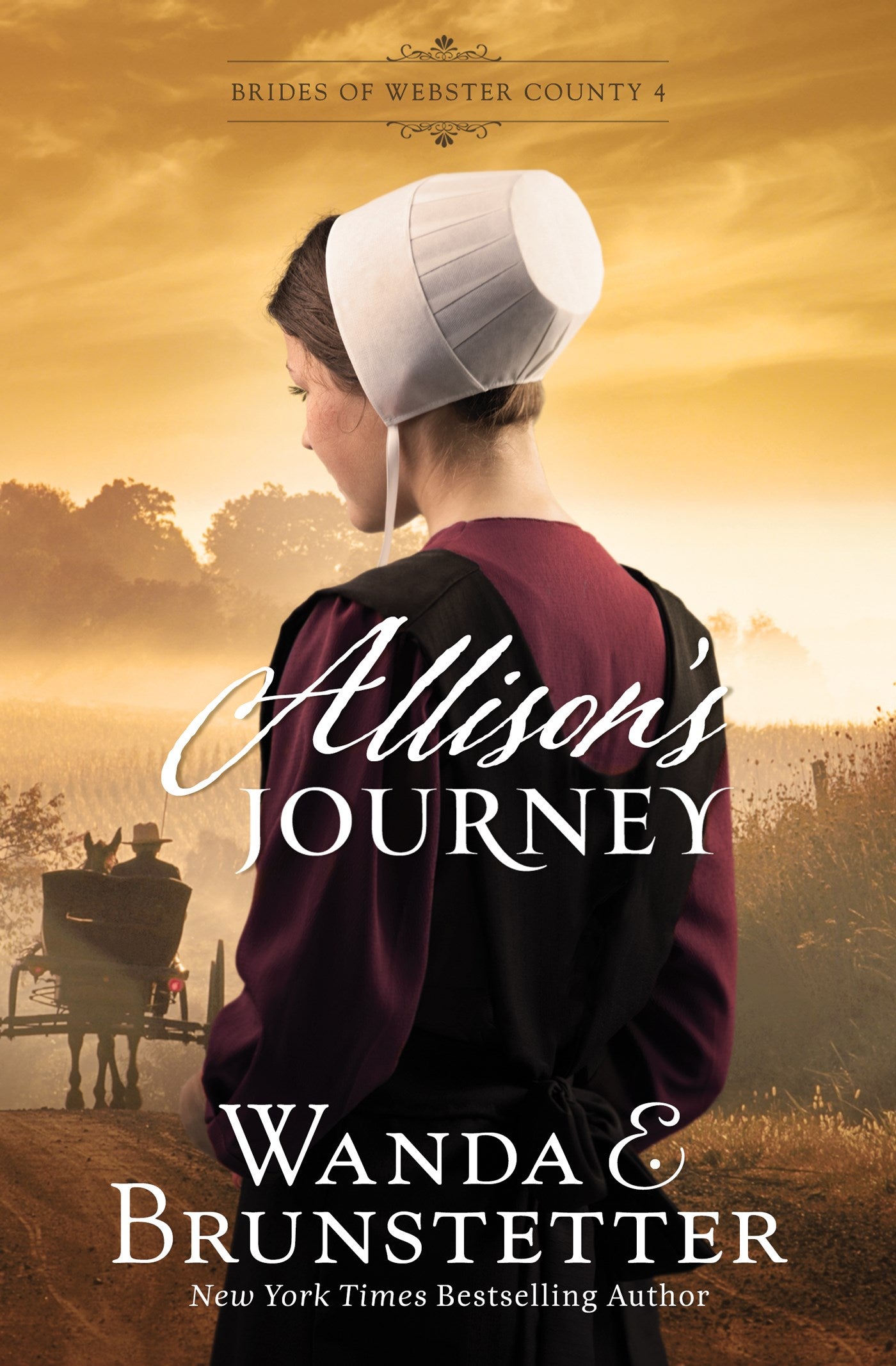 Allison's Journey (Brides Of Webster County #4) (Repack)
