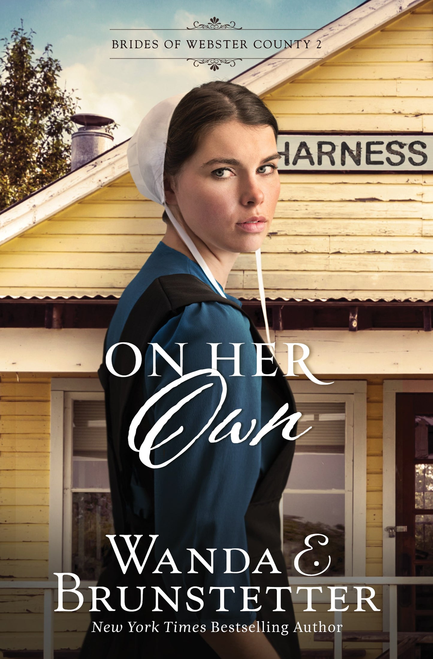On Her Own (Brides Of Webster Country #2) (Repack)