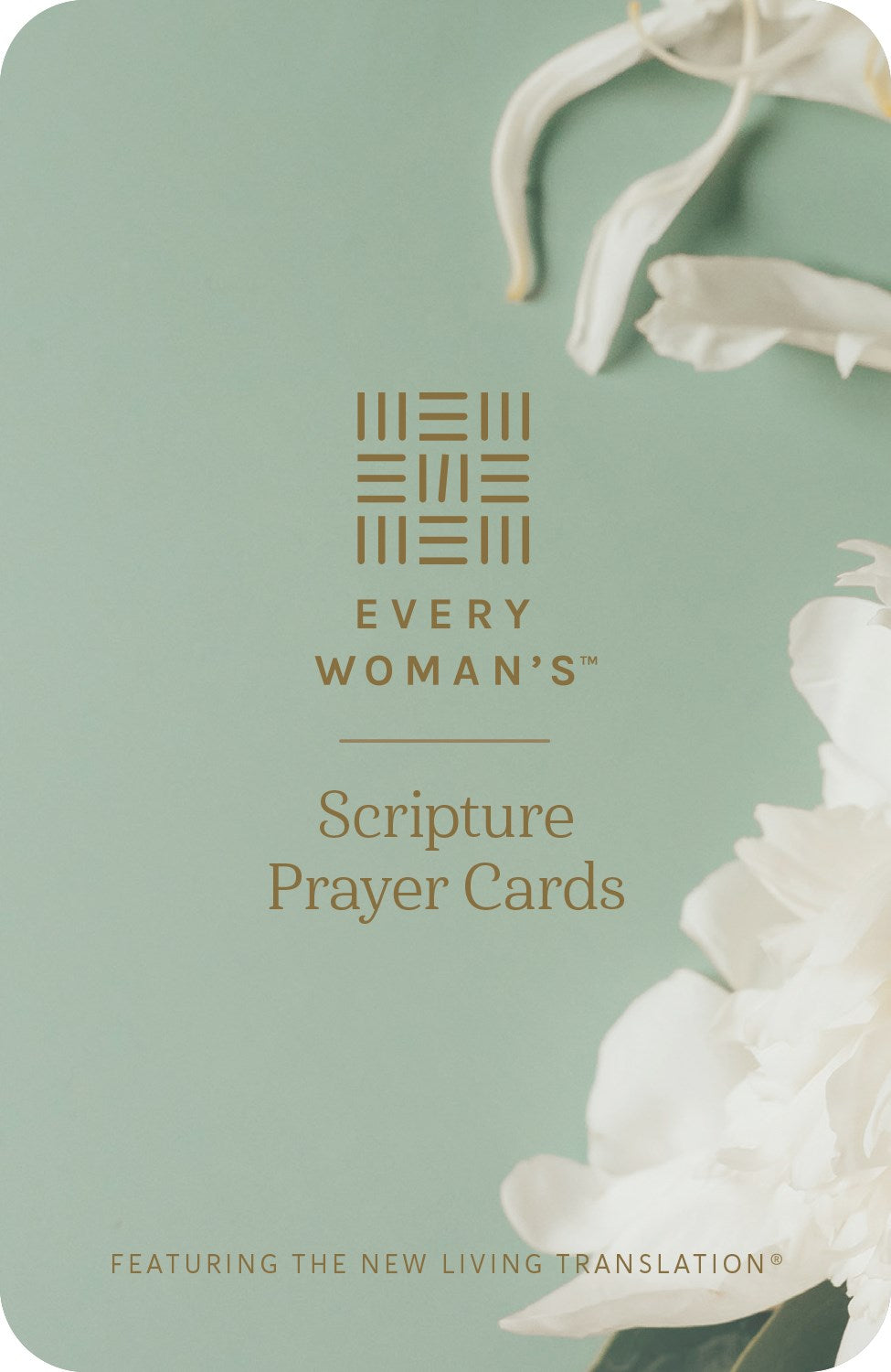 Every Woman's Scripture Prayer Cards