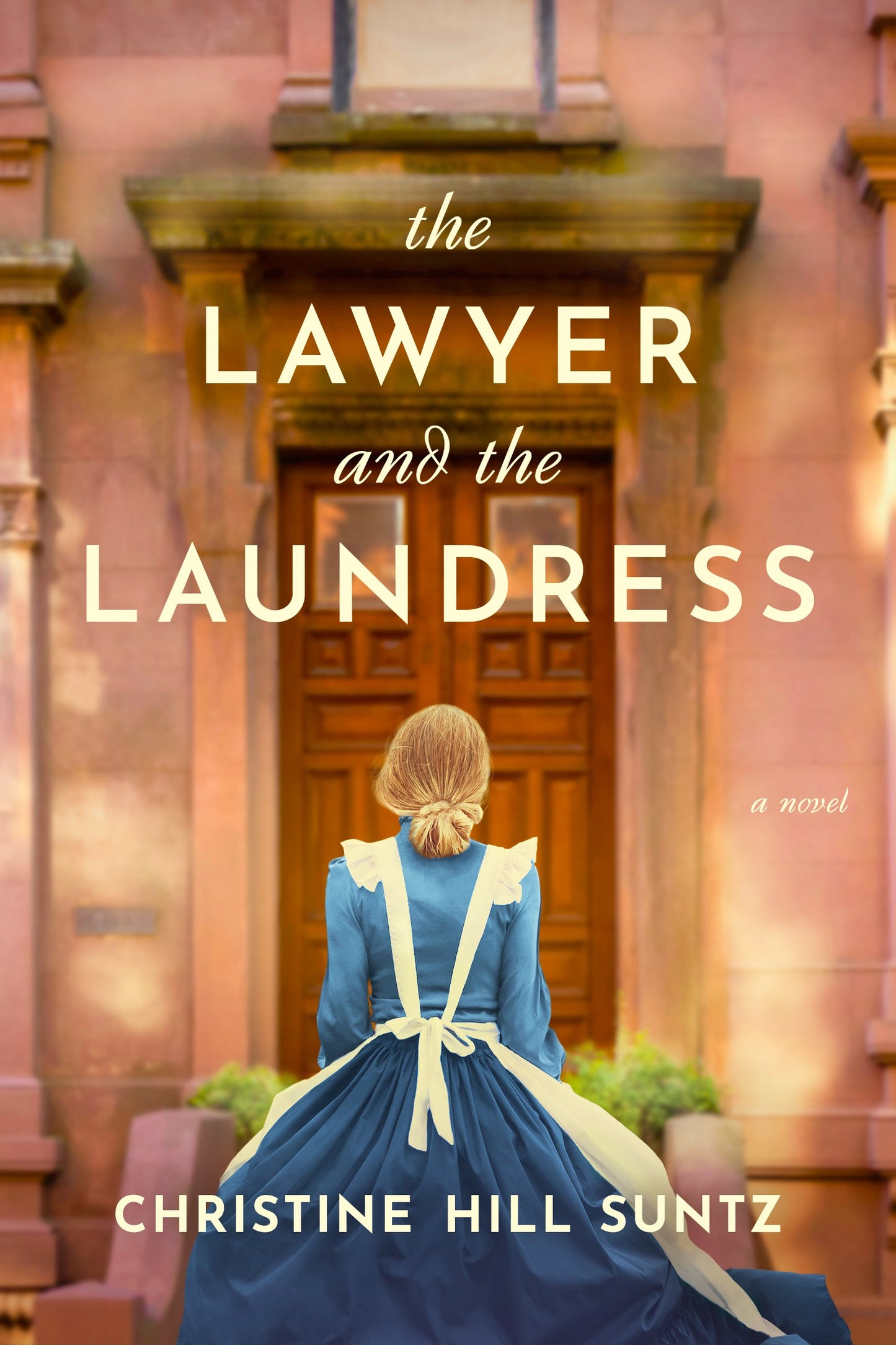 The Lawyer And The Laundress-Hardcover