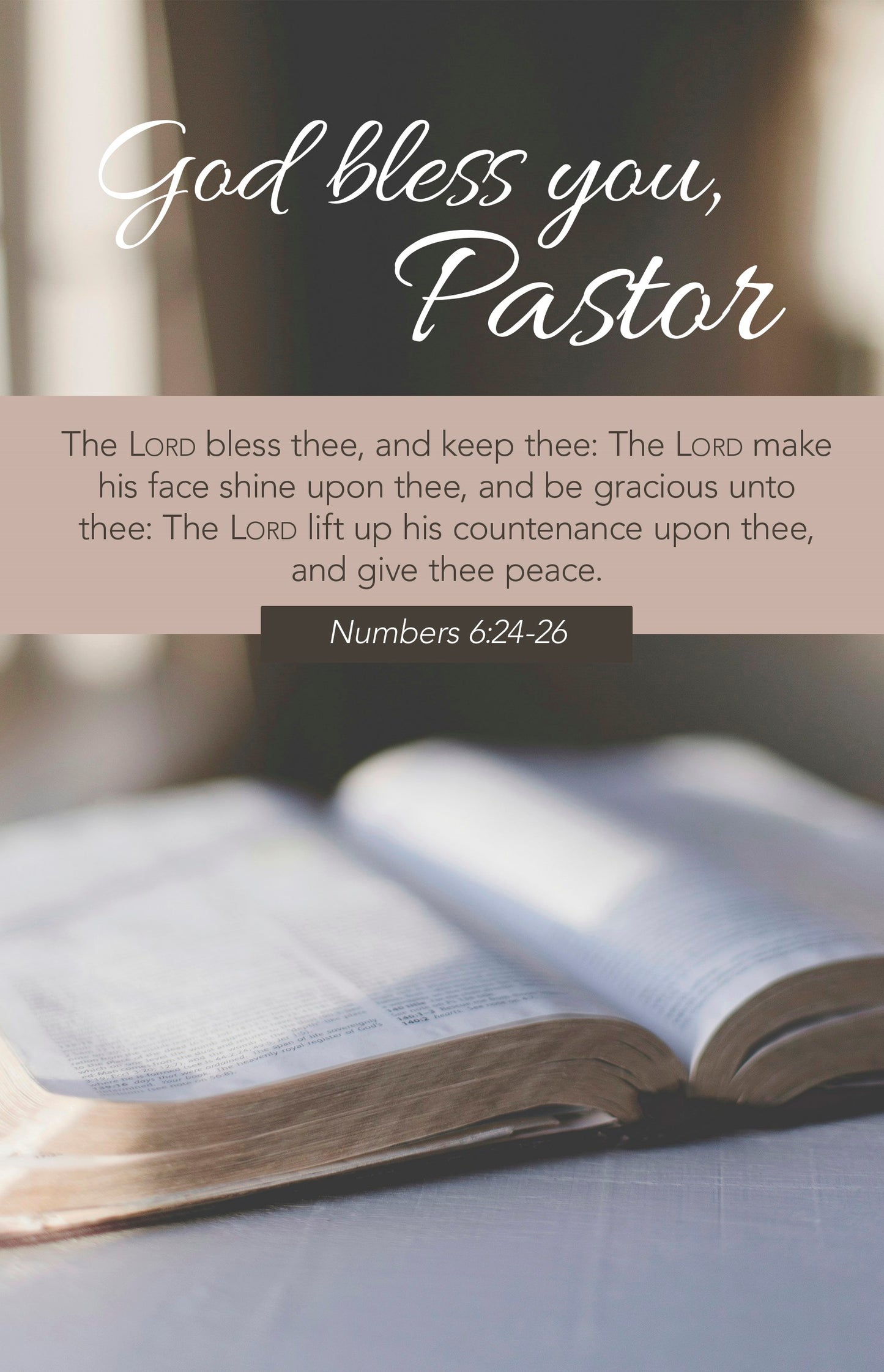 Bulletin-Pastor Appreciation: God Bless You Pastor (Numbers 24-26 KJV) (Pack Of 100)
