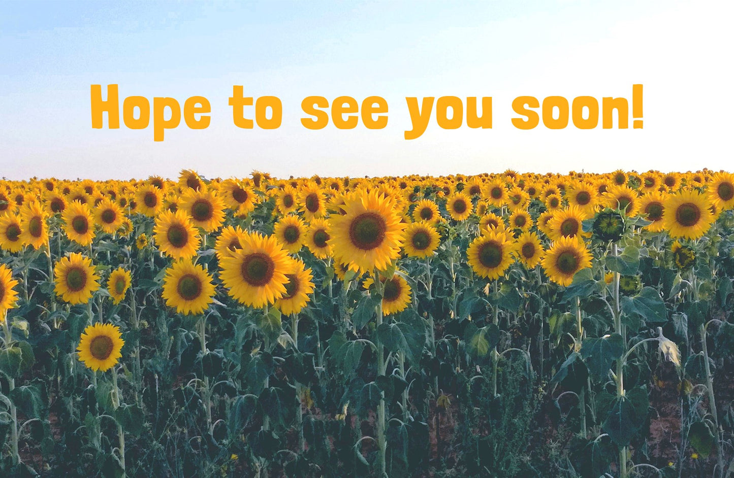 Visitor Postcard-Hope To See You Soon! (Romans 5:1 KJV) (Pack Of 25)