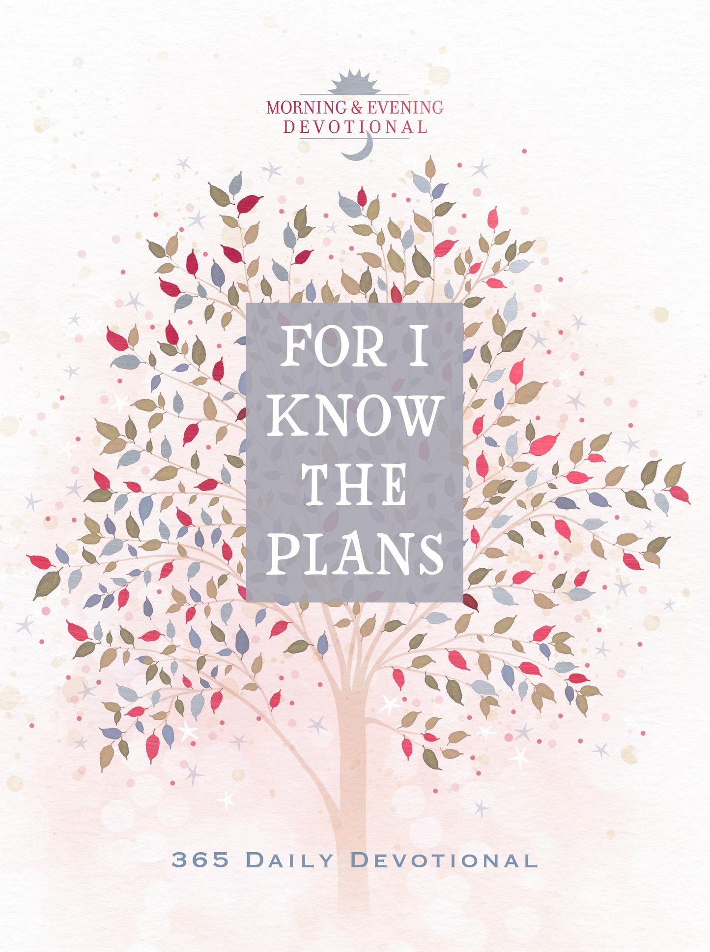 For I Know The Plans