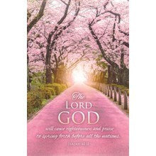 Bulletin-The Lord Will Cause Righteousness (Isaiah 61:11 KJV) (Pack Of 100)