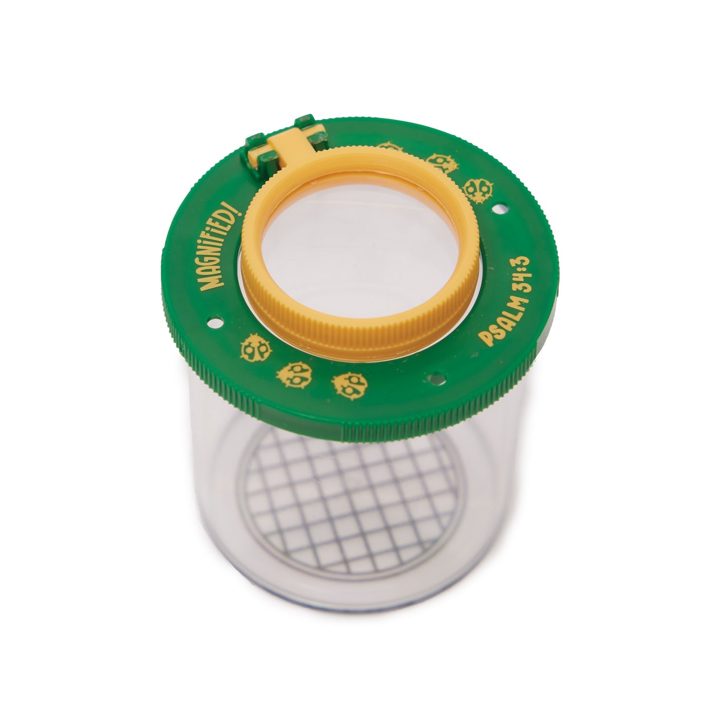 VBS-Magnified!: Insect Viewer (2025)