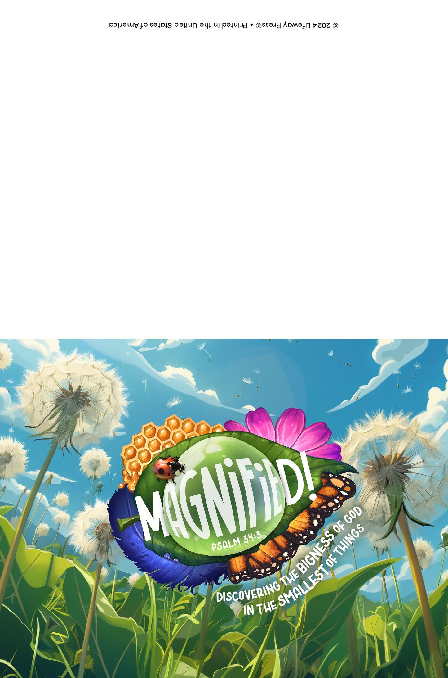 VBS-Magnified!: Note Cards (Pack Of 10) (2025)