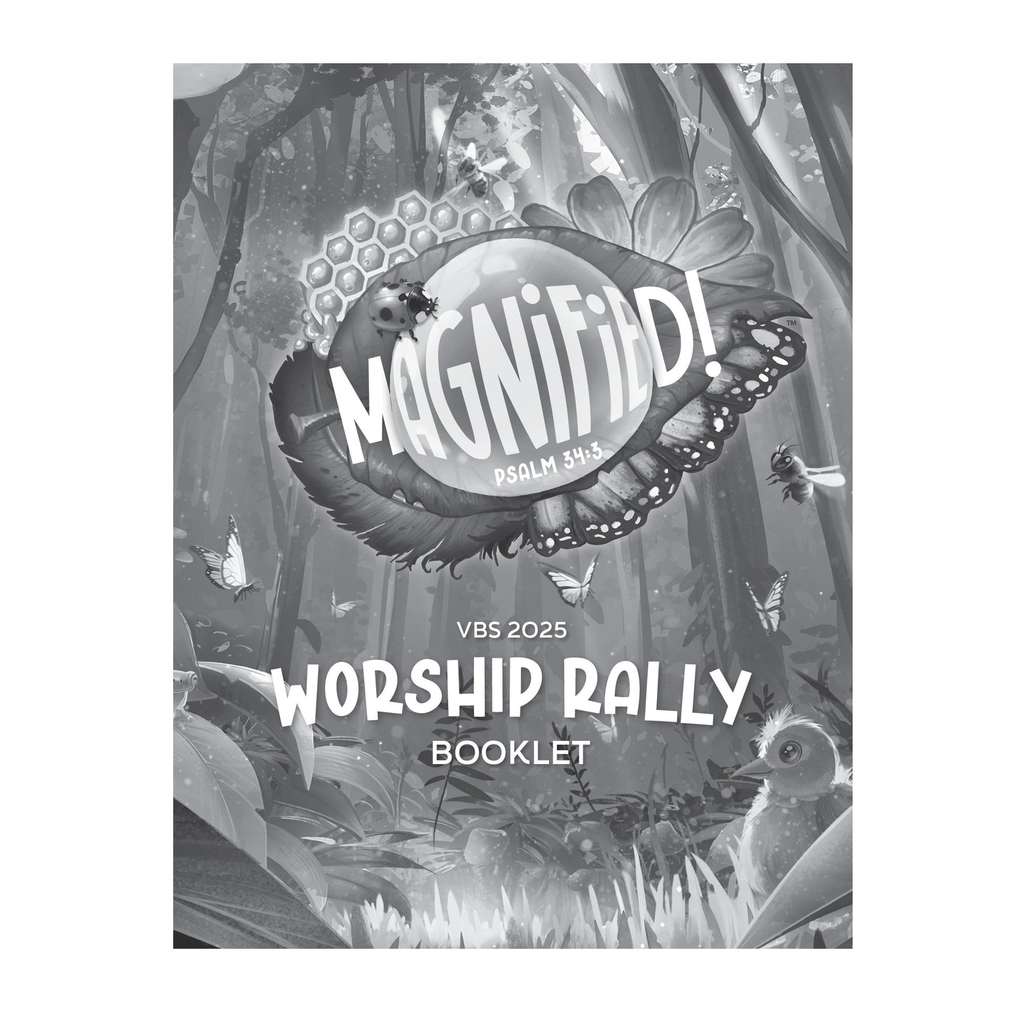 VBS-Magnified!: Worship Rally Booklet (Pack Of 25) (2025)