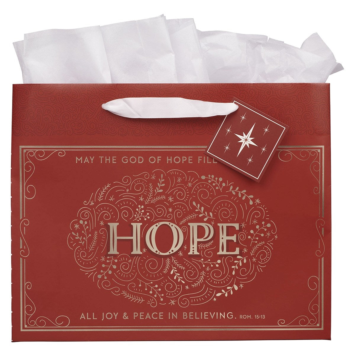 Gift Bag-Large Landscape-Hope Rom. 15:13