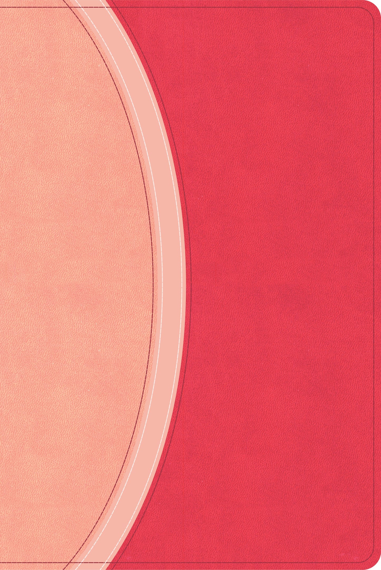CSB Rainbow Study Bible (Limited Edition)-Pink LeatherTouch