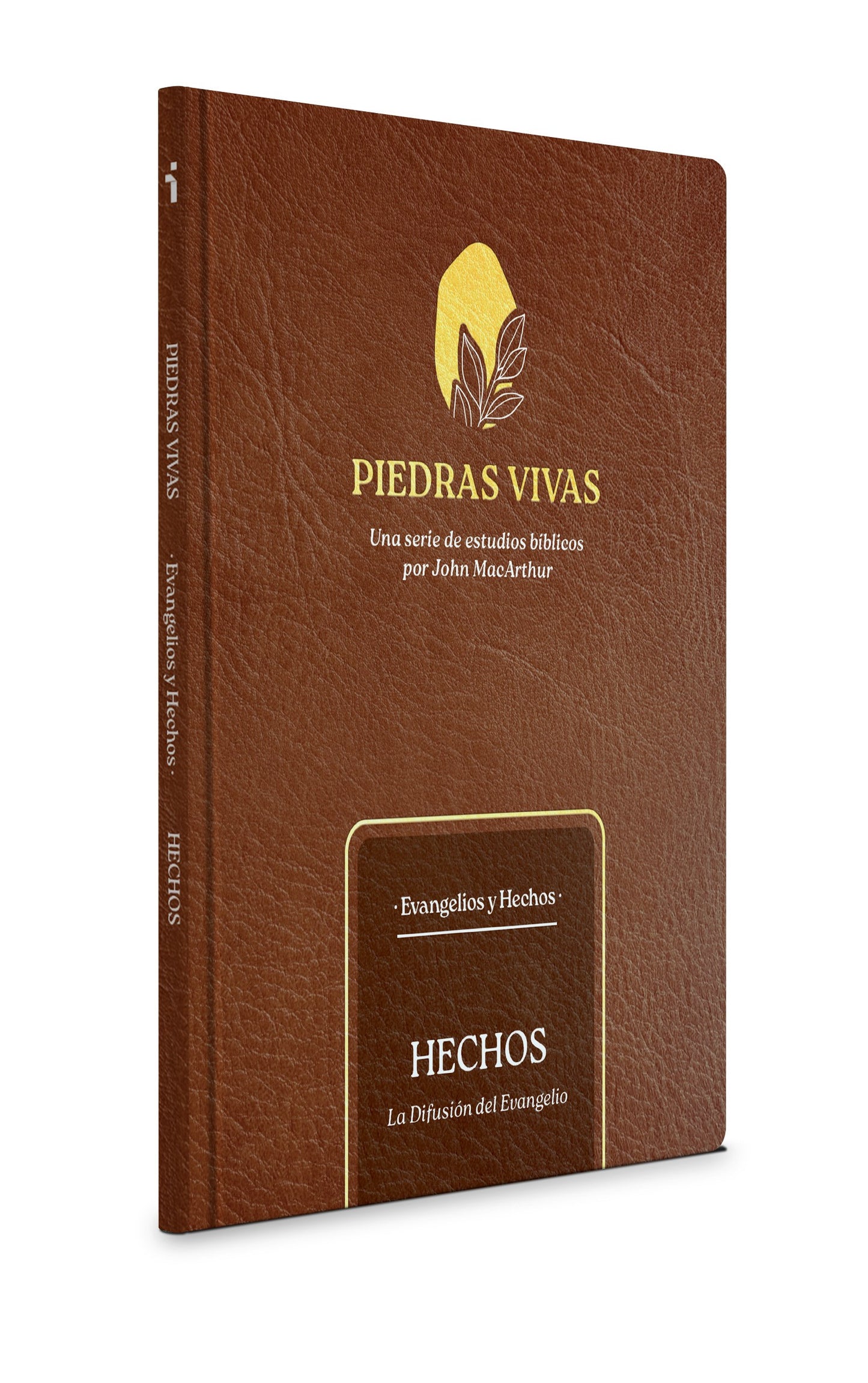 Piedras Vivas: Hechos - Estudio Biblico (Living Stones: Acts Bible Study)