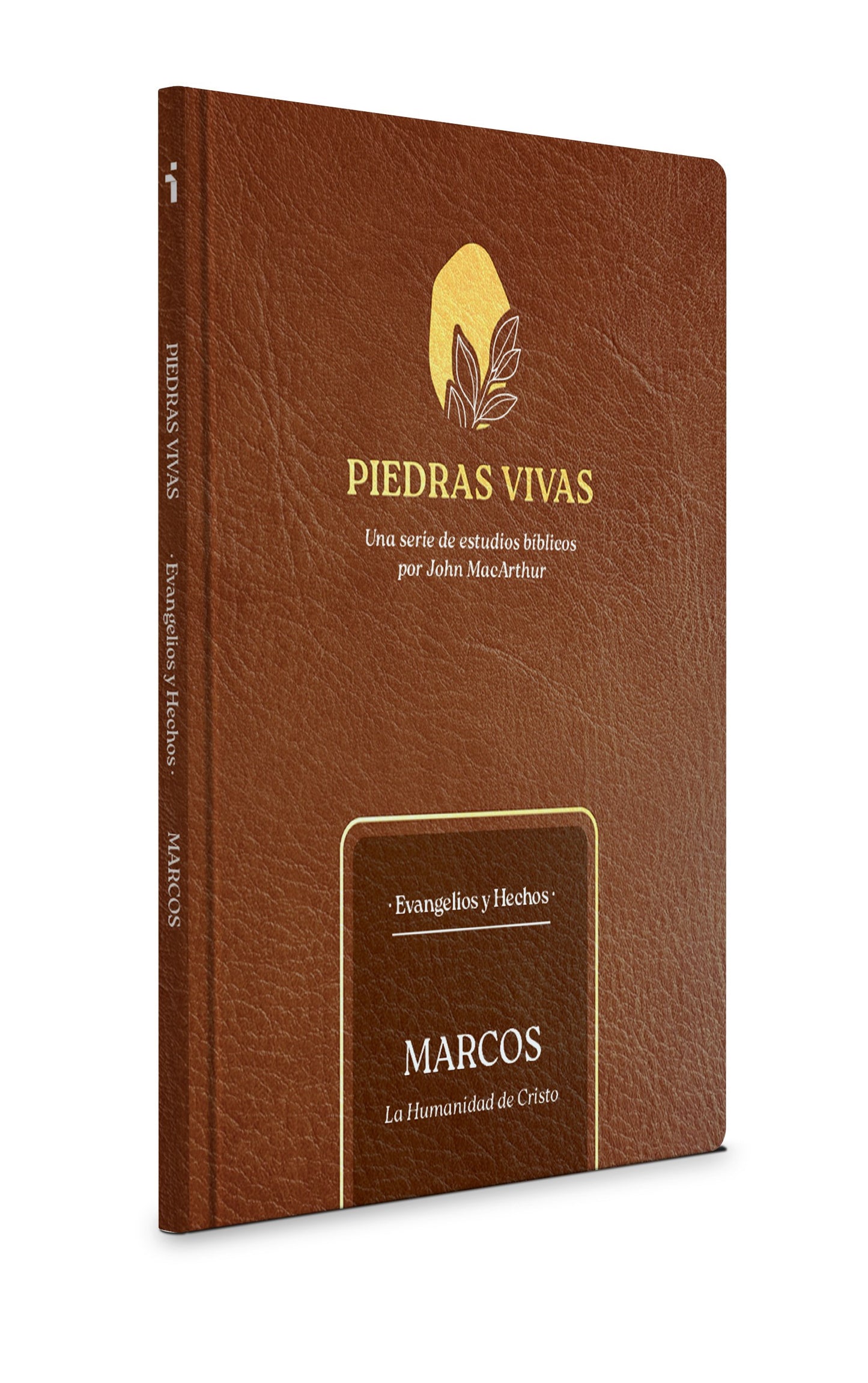 Piedras Vivas: Marcos - Estudio Biblico (Living Stones: Mark Bible Study)