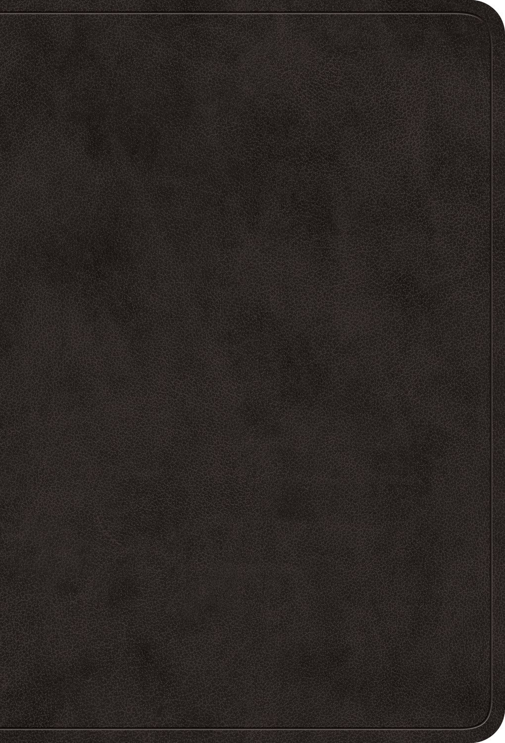 Esv Value Large Print Compact Bible*-Black Trutone