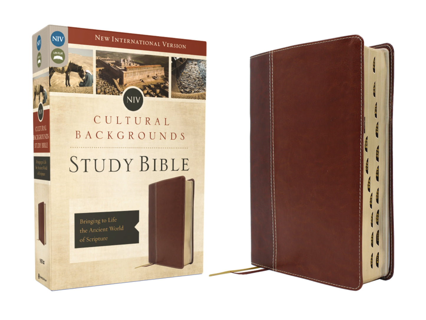 NIV Cultural Backgrounds Study Bible (Context Changes Everything)-Brown Leathersoft Indexed