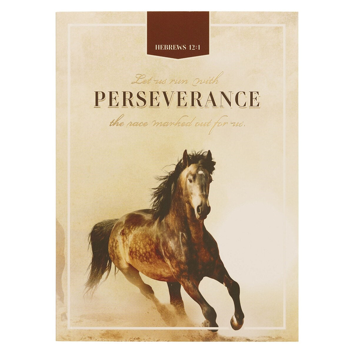 Notebook-Medium-Run with Perseverance