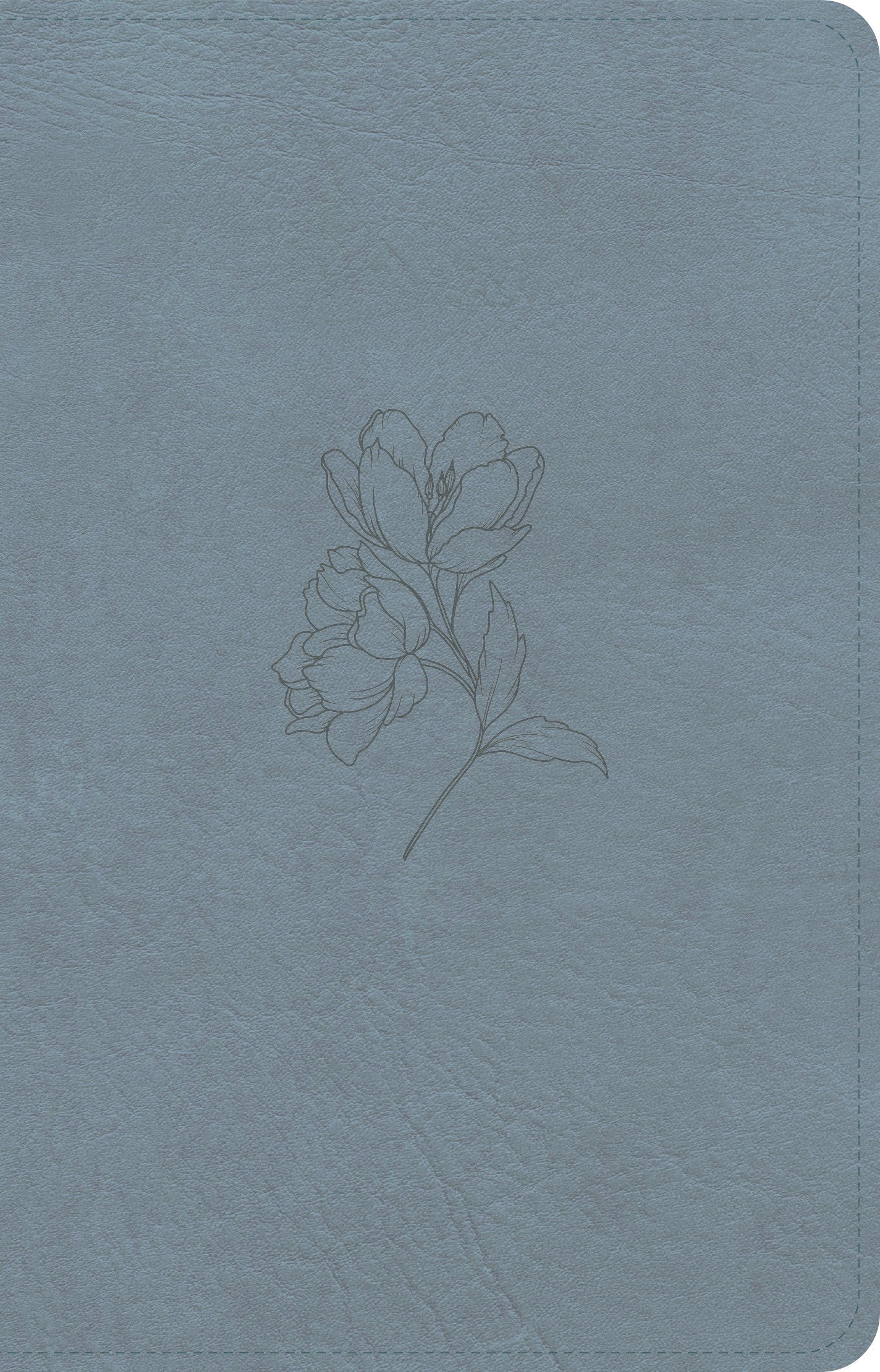 CSB Personal Size Bible Digital Study Edition-Blue LeatherTouch