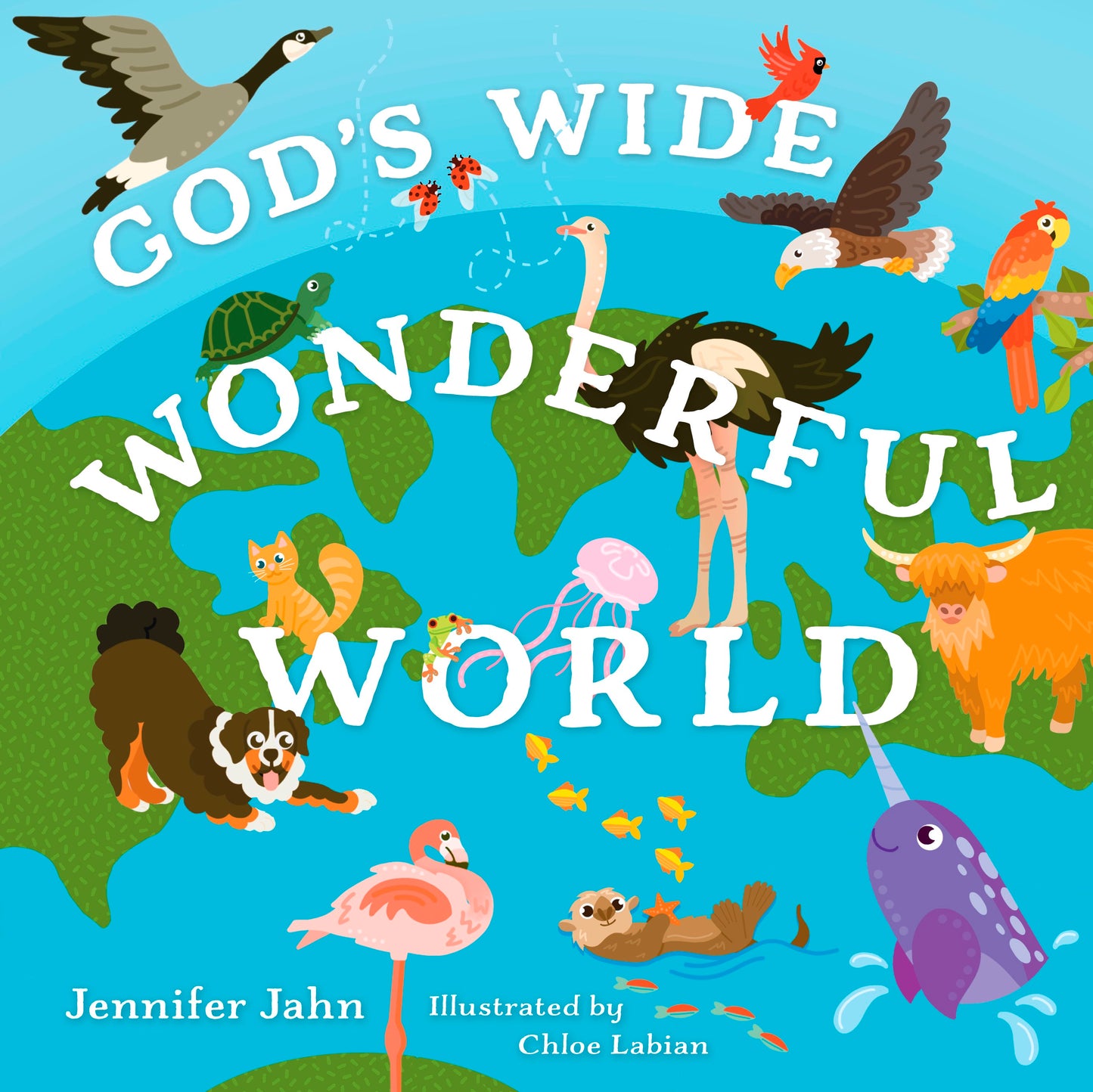 God's Wide Wonderful World
