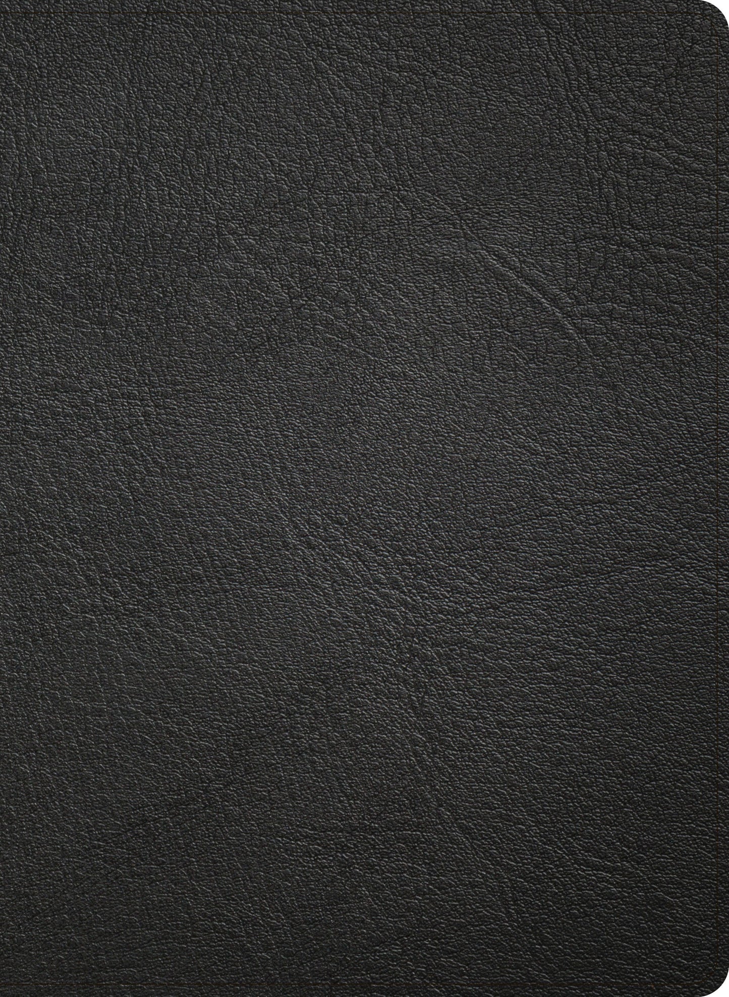 NASB 2020 Study Bible-Black Genuine Leather Indexed