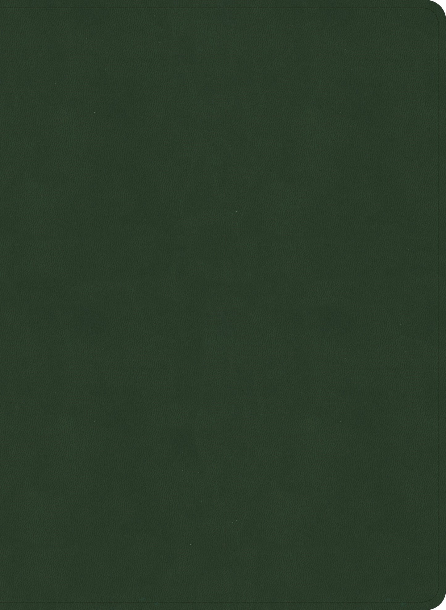 NASB 2020 Study Bible-Olive LeatherTouch Indexed