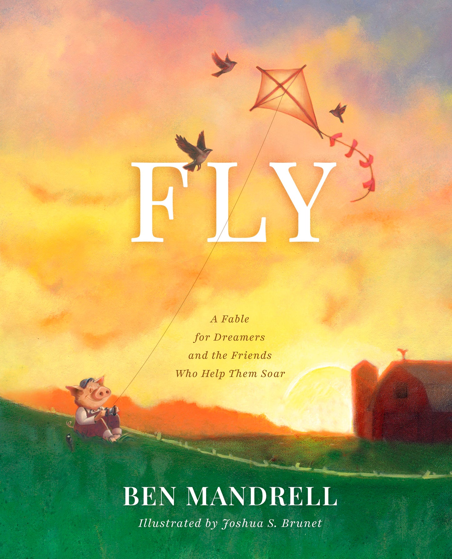 Fly