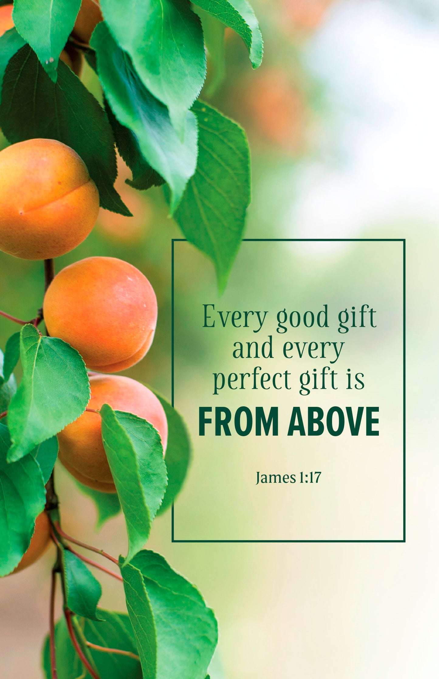 Bulletin-Every Good Gift...From Above (Pack Of 100)