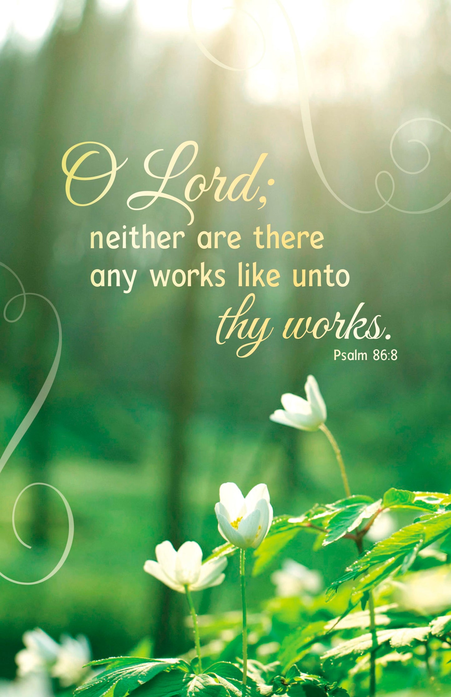 Bulletin-O Lord; Neither Are There Any Works Like Unto Thy Works (Pack Of 100)