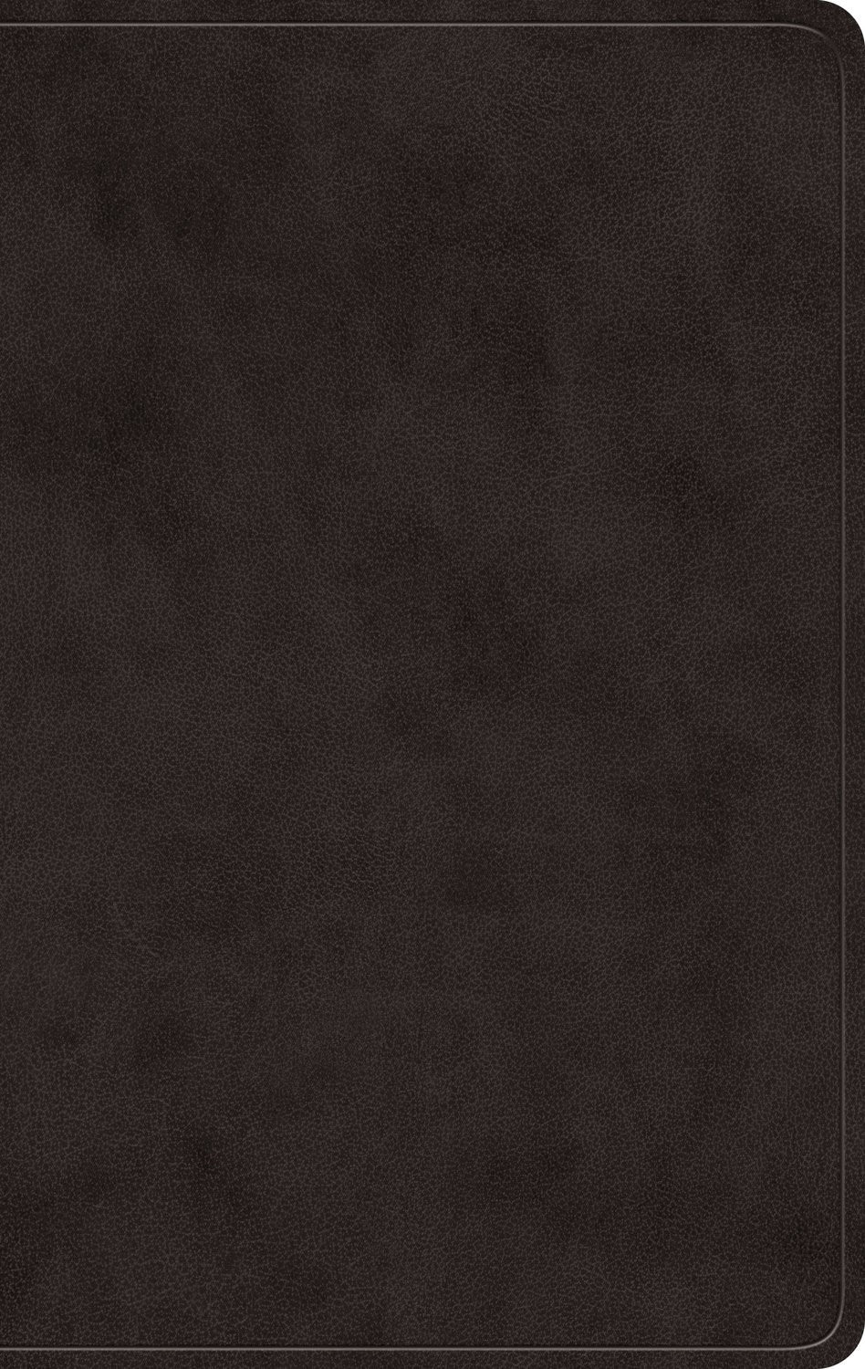 ESV Giant Print Value Personal Size Bible-Black TruTone