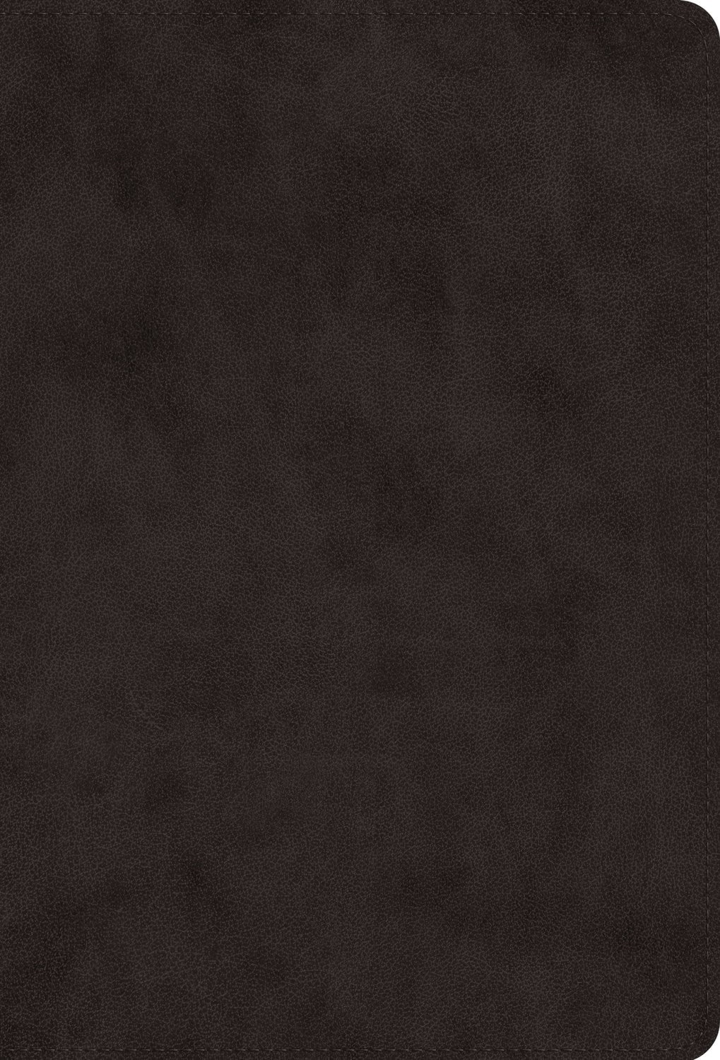 ESV Giant Print Value Thinline Bible-Black TruTone