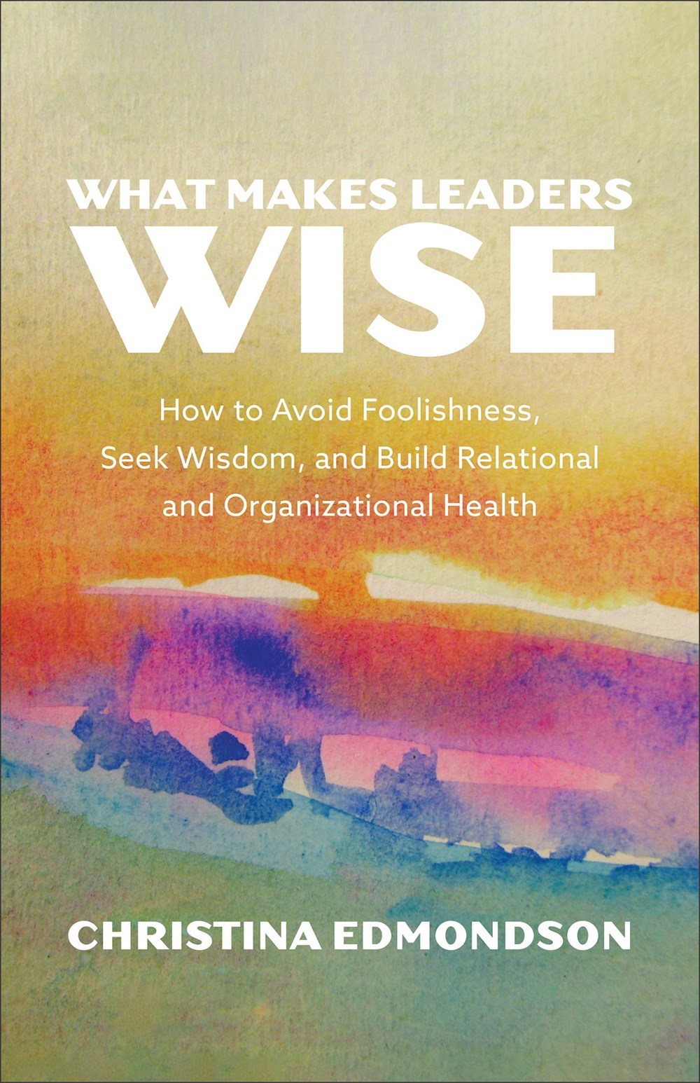 What Makes Leaders Wise