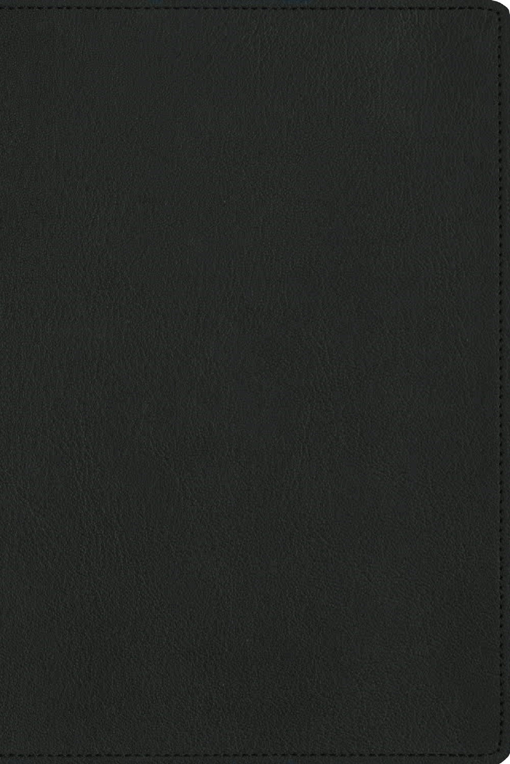 NBLA Biblia para la lectura publica Versificada Letra grande (Bible For Public Reading)-Green Goatskin