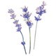 Home Decor-Wood Flowers-Let Kindness In (Set Of 3)