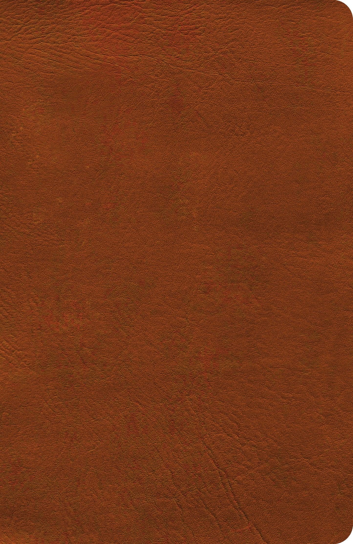 NASB 2020 Verse-by-Verse Reference Bible-Burnt Sienna LeatherTouch