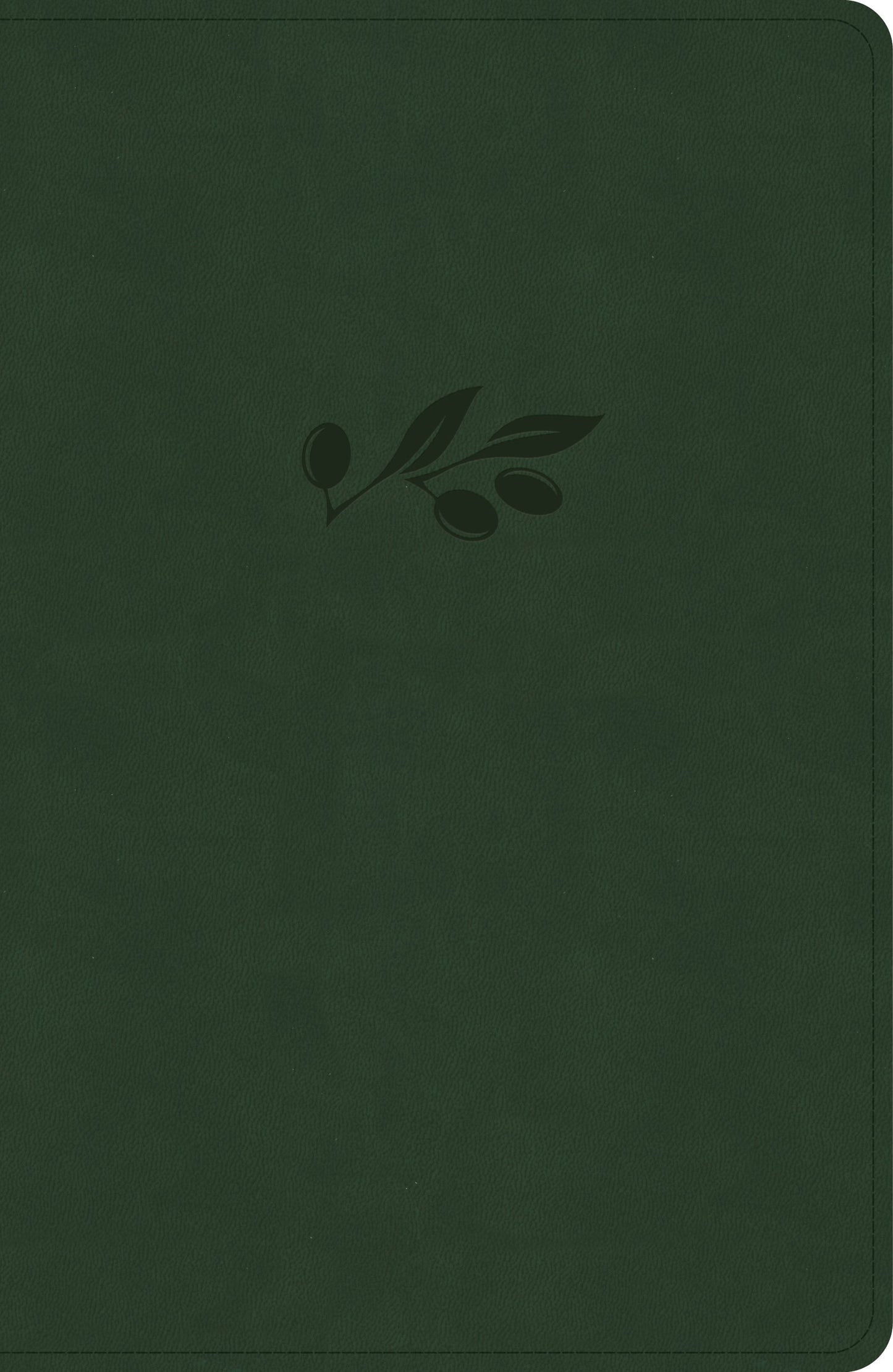 NASB 2020 Verse-by-Verse Reference Bible-Olive LeatherTouch