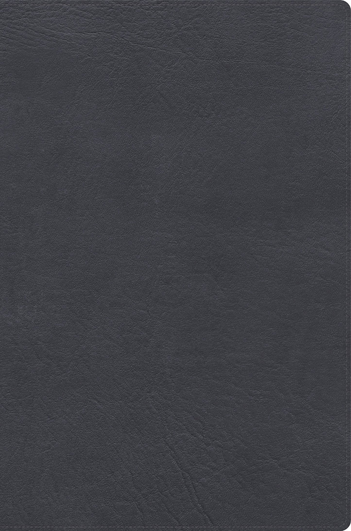 RVR 1960 Biblia de estudio letra gigante (Giant Print Study Bible)-Grey LeatherTouch