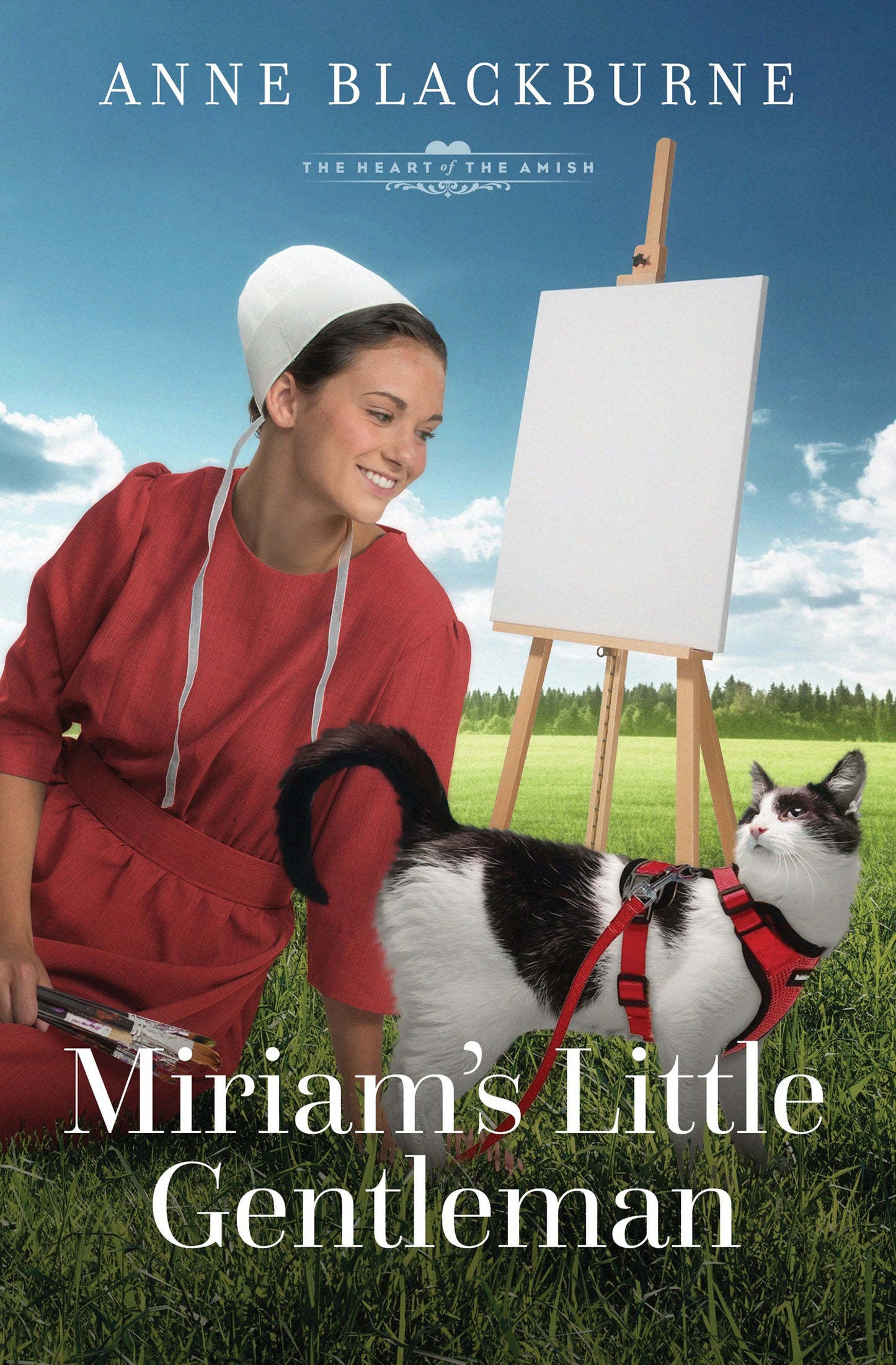 Miriam's Little Gentleman (The Heart Of The Amish)