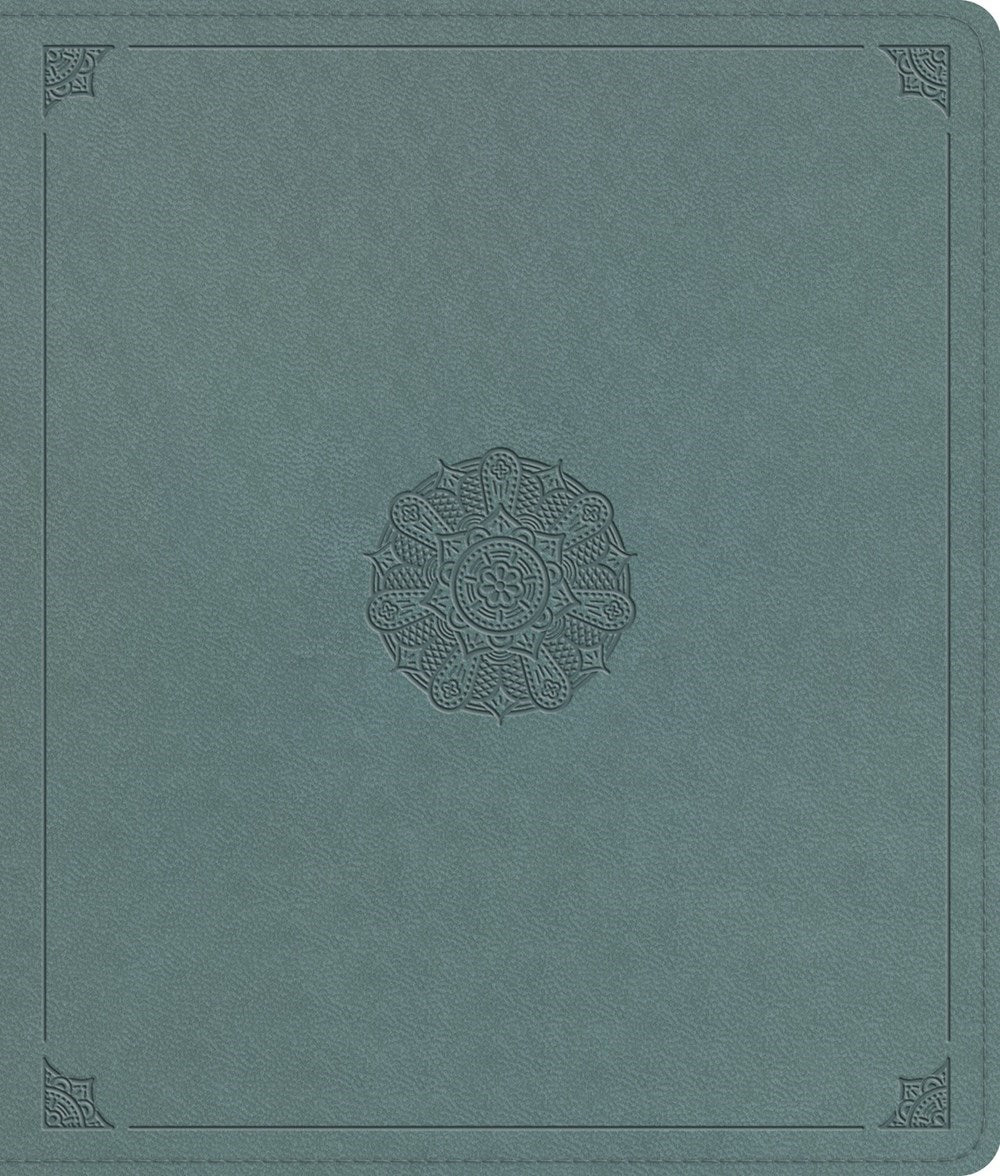 ESV Journaling Bible*-Paris Sky Emblem Design TruTone